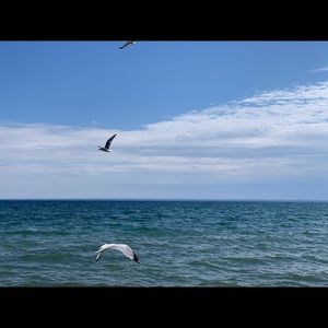 Meet your Posher, Li